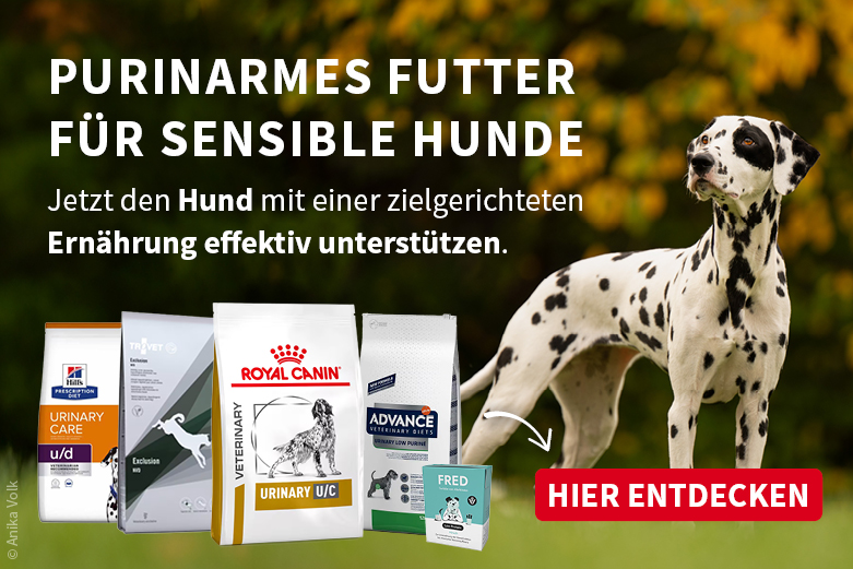 Geringer Puringehalt im Hundefutter